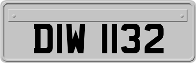 DIW1132