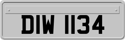 DIW1134