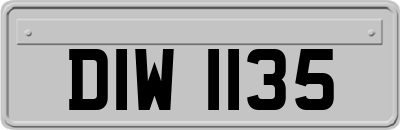 DIW1135