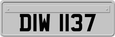 DIW1137