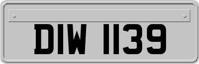 DIW1139