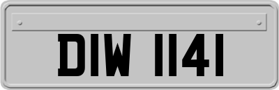 DIW1141
