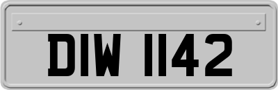 DIW1142