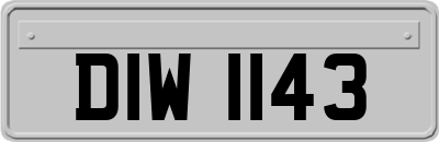 DIW1143