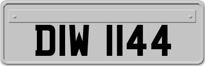 DIW1144