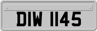 DIW1145