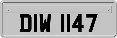 DIW1147