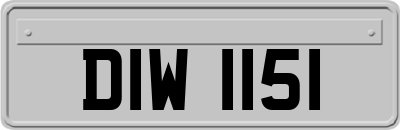 DIW1151