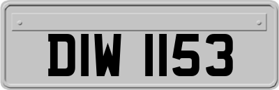DIW1153