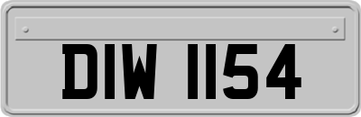 DIW1154