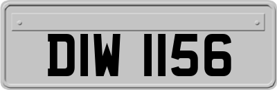 DIW1156