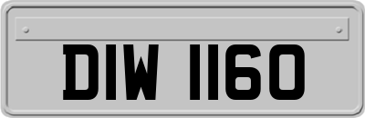 DIW1160