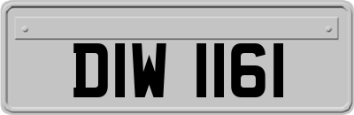 DIW1161