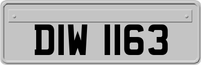 DIW1163