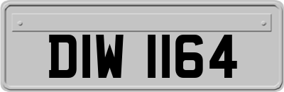 DIW1164