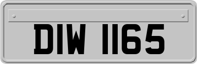 DIW1165