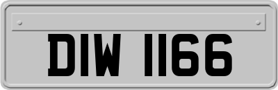 DIW1166