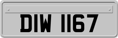 DIW1167