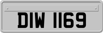 DIW1169