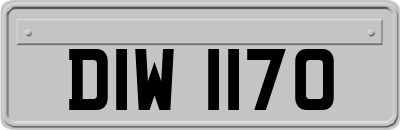 DIW1170