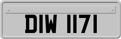 DIW1171