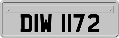 DIW1172