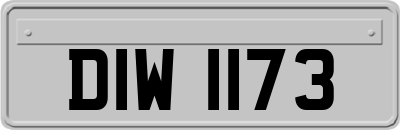 DIW1173