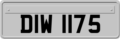 DIW1175