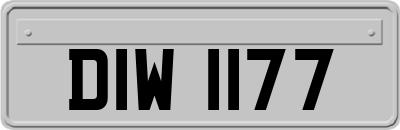 DIW1177