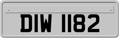 DIW1182