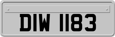 DIW1183
