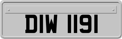 DIW1191