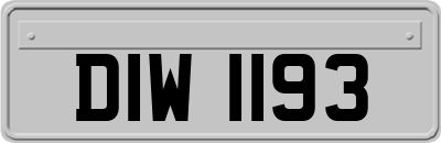 DIW1193