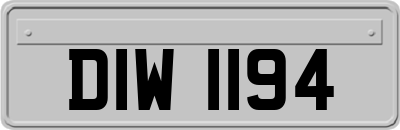 DIW1194
