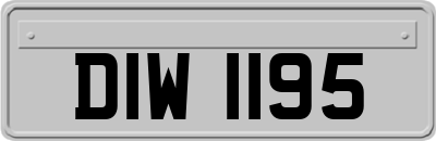 DIW1195