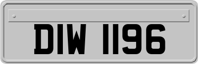 DIW1196