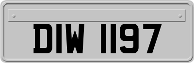 DIW1197