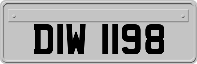 DIW1198
