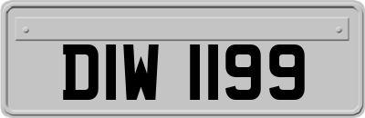 DIW1199