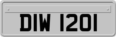 DIW1201