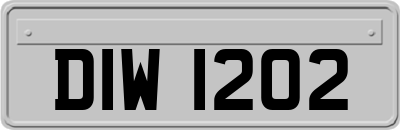 DIW1202