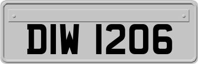 DIW1206