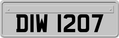 DIW1207