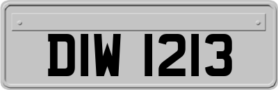 DIW1213