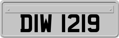 DIW1219