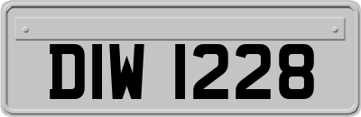 DIW1228