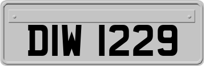 DIW1229