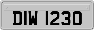 DIW1230