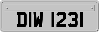DIW1231
