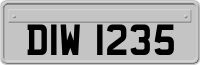DIW1235
